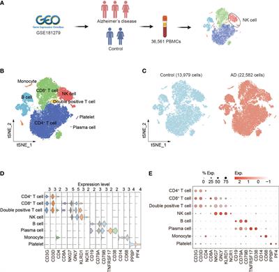 Alzheimer’s disease alters the transcriptomic profile of natural killer cells at single-cell resolution